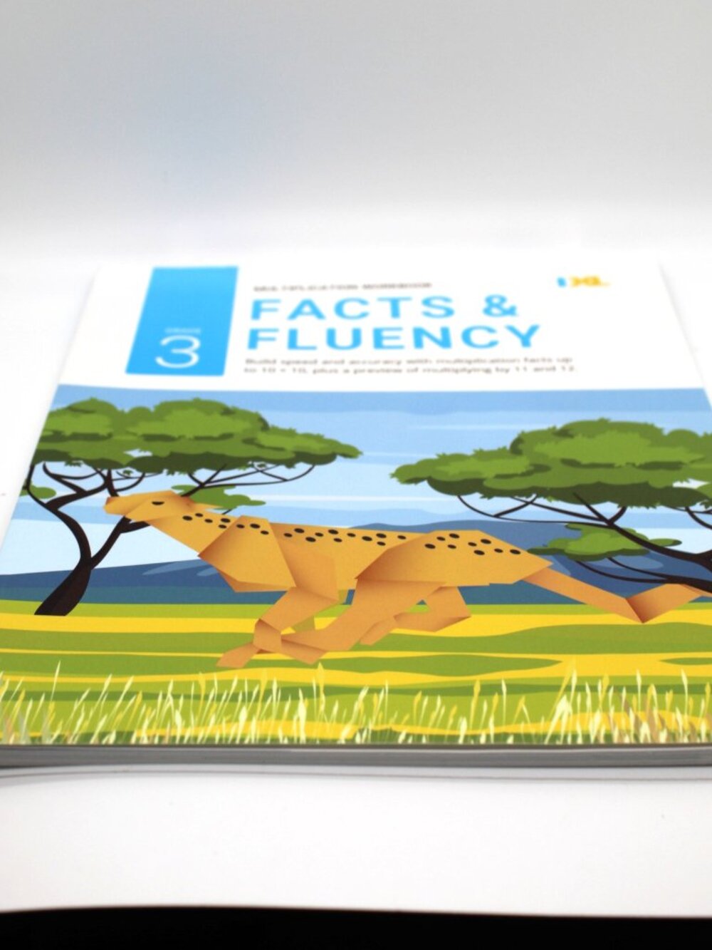 IXL Multiplication Workbook Facts & Fluency 3rd Grade Homeschool NEW Paperback